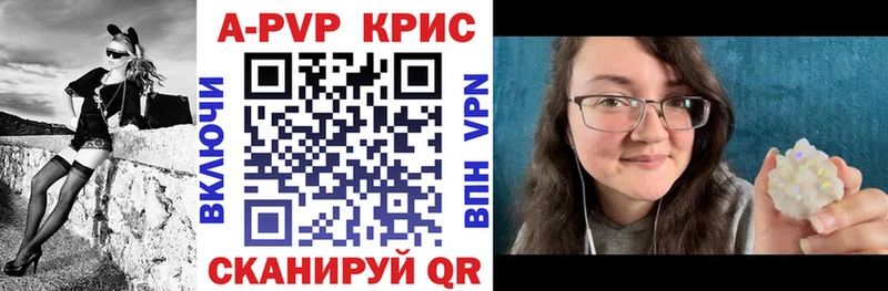 A PVP СК КРИС Новоалтайск