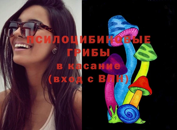 метамфетамин Покачи