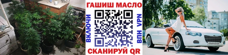даркнет сайт  маркетплейс телеграм  ТГК концентрат  Новоалтайск 