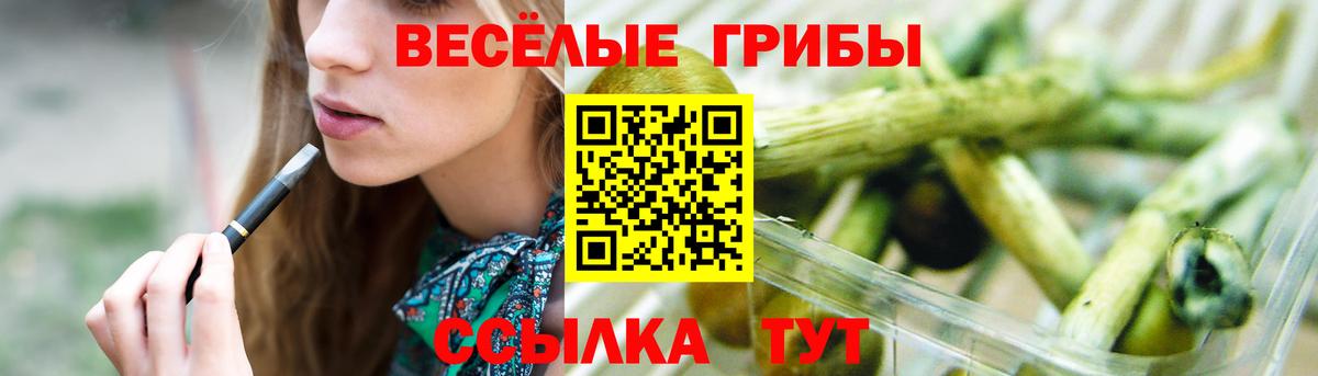 Галлюциногенные грибы Magic Shrooms  Псилоцибиновые грибы Cubensis  Новоалтайск  Вход с VPN 